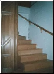 Videó